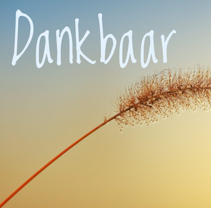 Dankbaar - 28 oktober