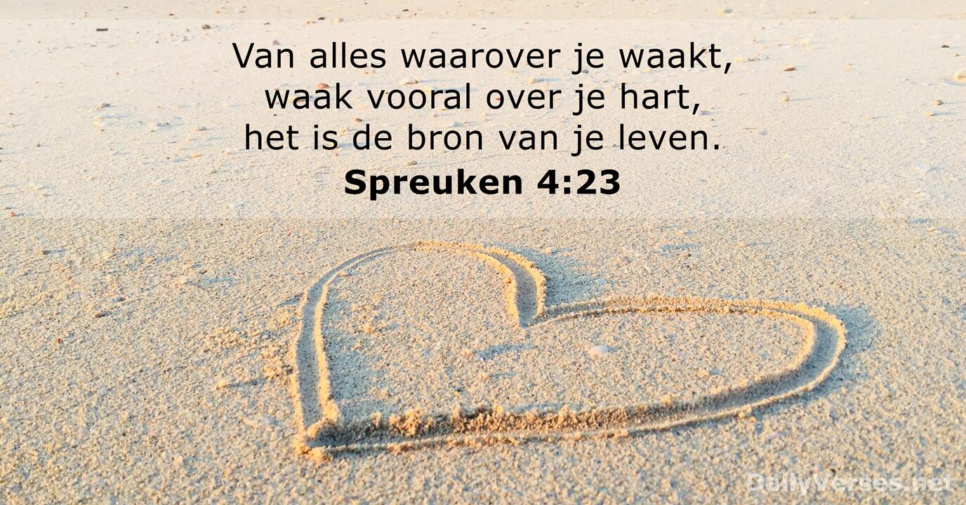 spreuken-4-23-3