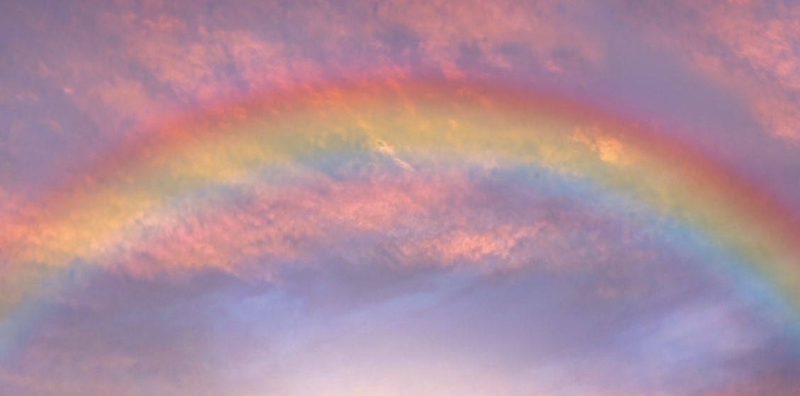 Regenboog