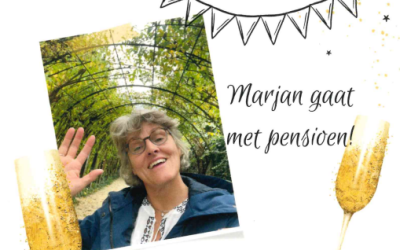 Schermafbeelding 2025-06-13 154547