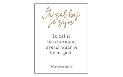 Schermafbeelding 2026-08-21 092723