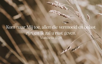 cb52e817-2c70-2d9e-fbc1-7366ce63542a