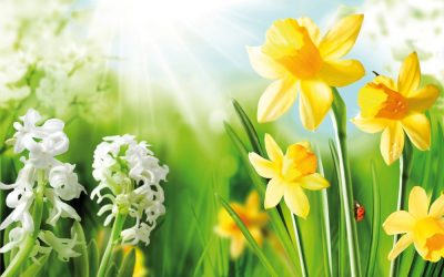 lente2